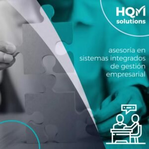 Asesoría en sistemas integrados de gestión empresarial