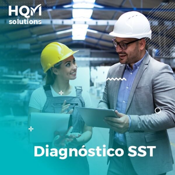 Diagnóstico SST Ministerio de Trabajo y ARL